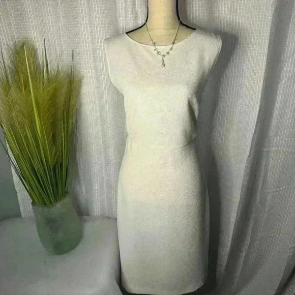Rachel Comey Gorgeous Sleeveless White Textured Medina Dress Size 4 NWOT - Picture 1 of 15